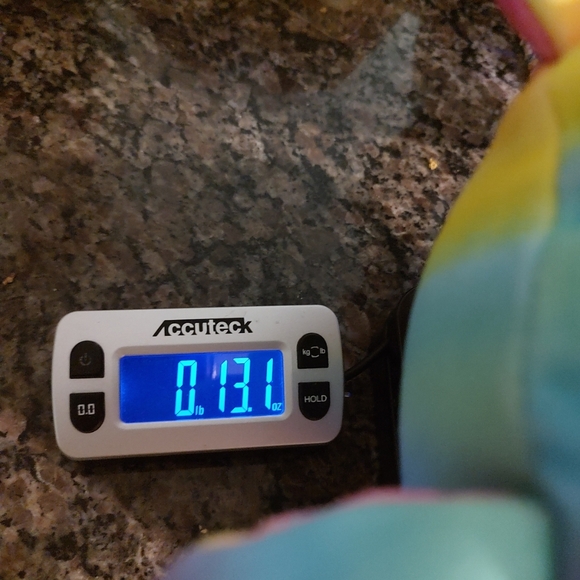 Adorable 10 inch Build-a-Bear Workshop Skoosherz Rainbow Bear plush - Picture 9 of 9